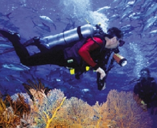  mergulho em vallarta 